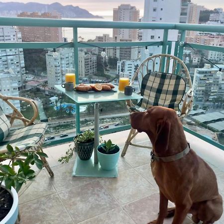 Traveler'S Beach Apartment With Sea View, Free Coffee & Parking Benidorm Exteriér fotografie