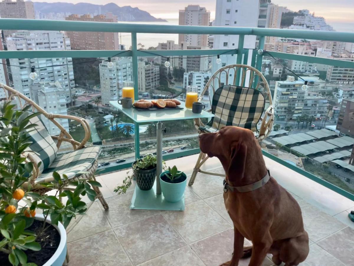 Traveler'S Beach Apartment With Sea View, Free Coffee & Parking Benidorm Exteriér fotografie